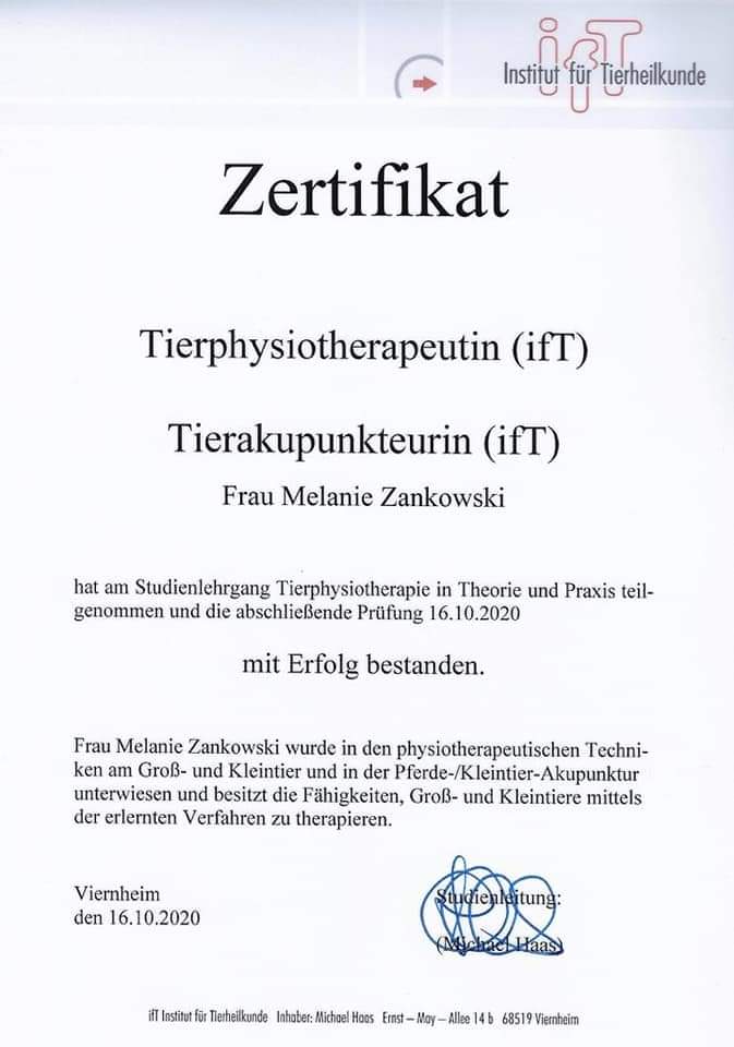 Zertifikat Tierphysiotherapeutin Zertifikat Tierphysiotherapeutin