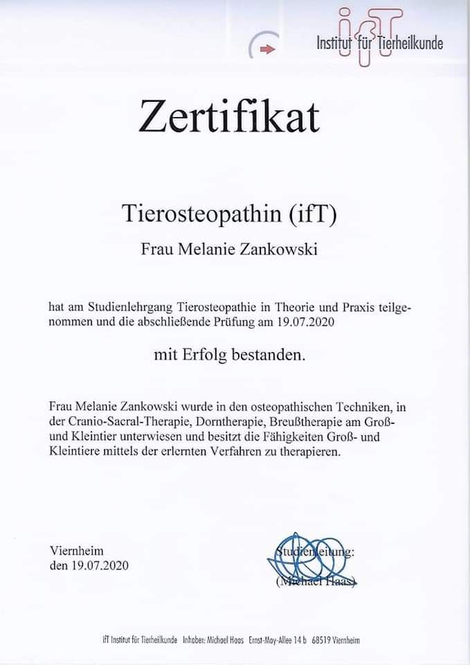 Zertifikat Tierosteopathin Zertifikat Tierosteopathin